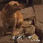 九游下载安装-欧联杯阿贾克斯  第2张